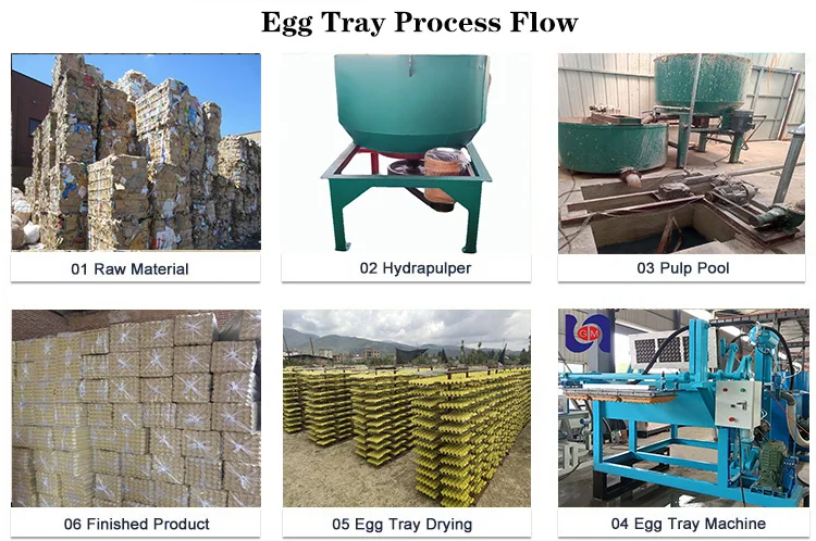 Machinery for Making Egg Trays Using Waste Pulp and Sugarcane Bagasse Hot Selling in China factory