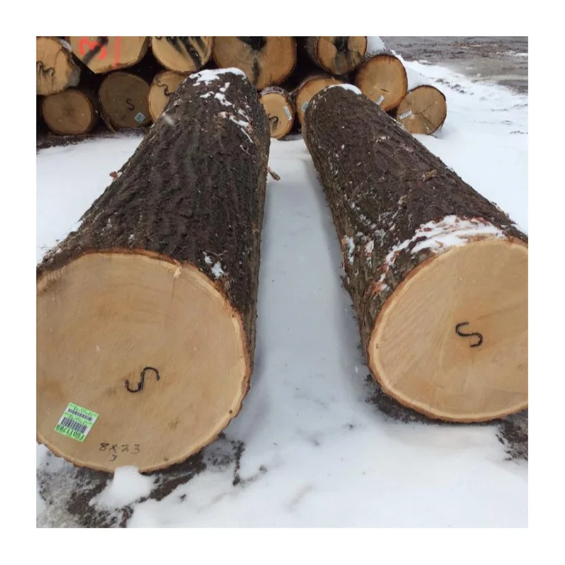 Hot Sell Pine Wood Logs Birch Wood Logs Spruce Wood Logs Buy Super Performance Oak Hard Wood