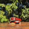 Fire Red