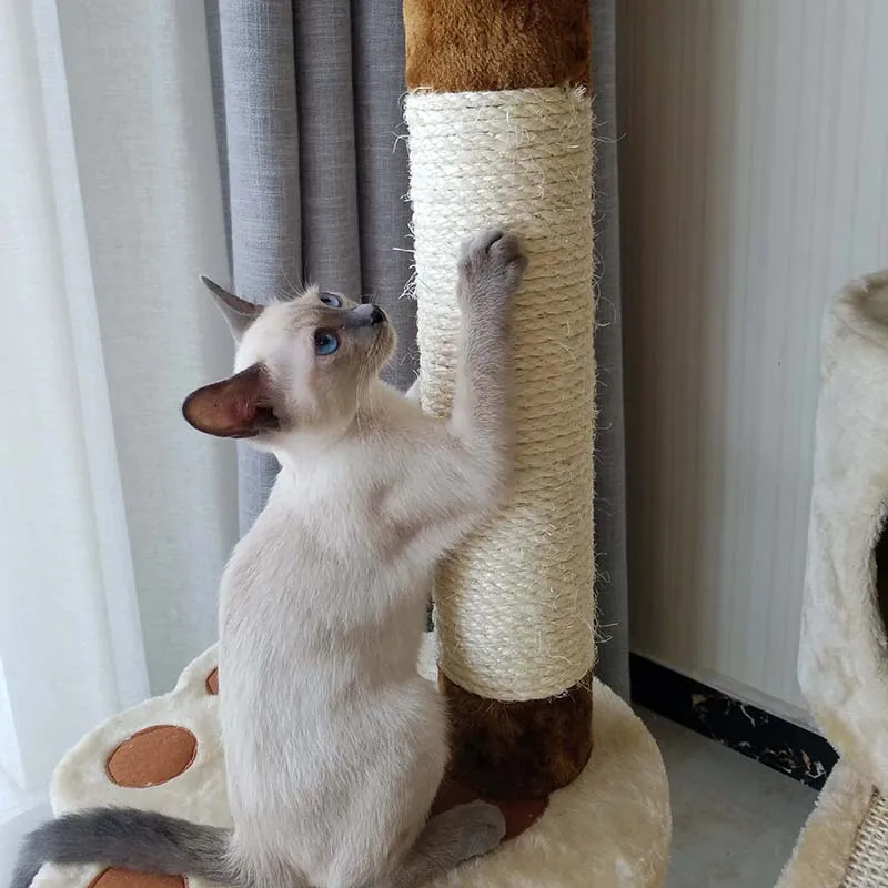 Amazon Hot Sale Premium Multilevel Cat Tree Tower Luxury Cat Scratcher