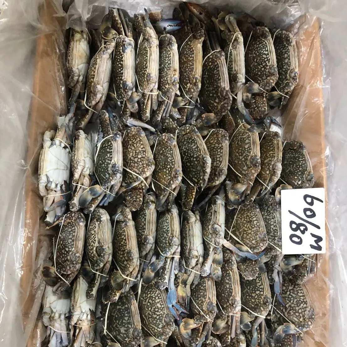 Wholesale Seafood Fresh Crab Frozen Blue Swimming Crab From Pakistan
