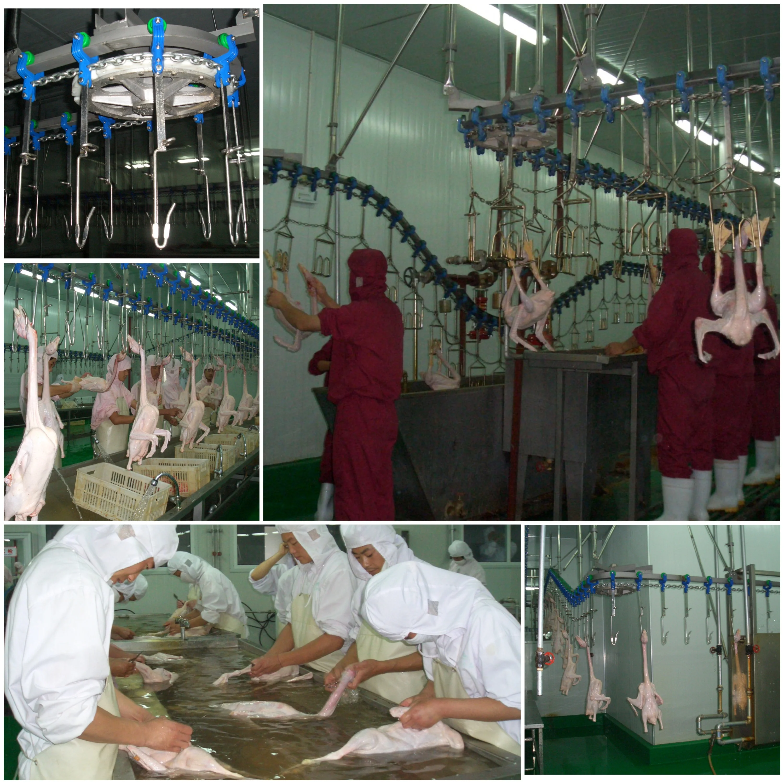 Automatic high performance shrink packaging machine for meat and food processing plants