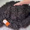 Burmese Curl