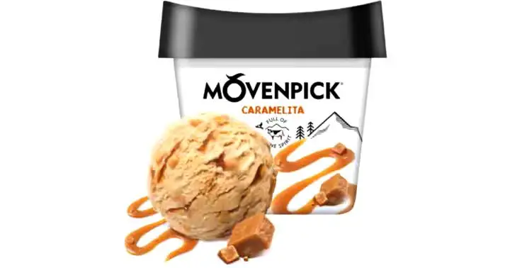Master of Taste | Fine Movenpick Yogurt Swiss Chocolate / Greek Style Plain 5% 100g