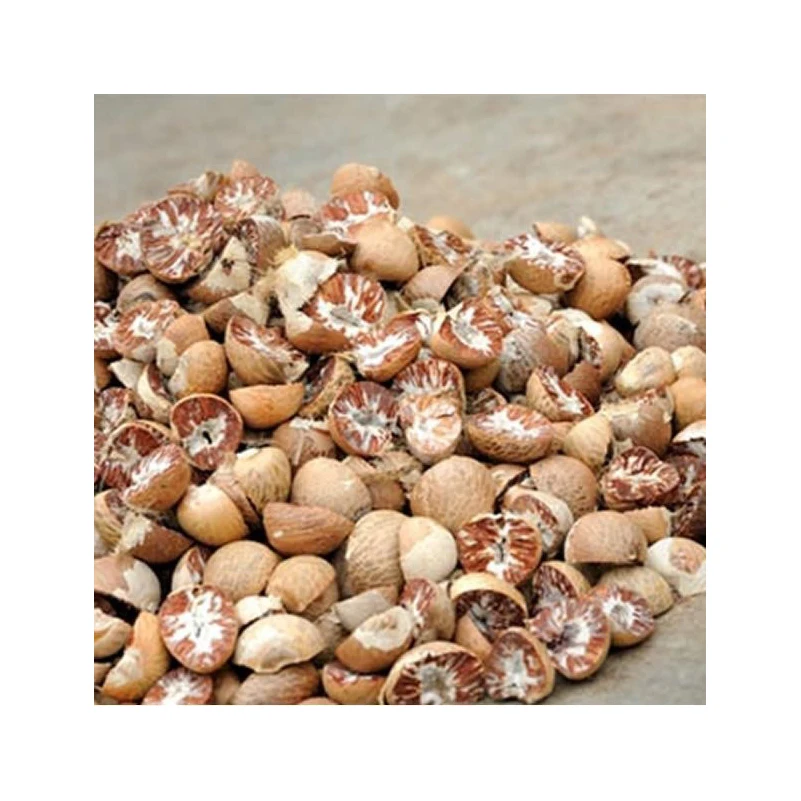 Дешевые орехи бетеля с разрезом Сушеные Орехи Бетеля для