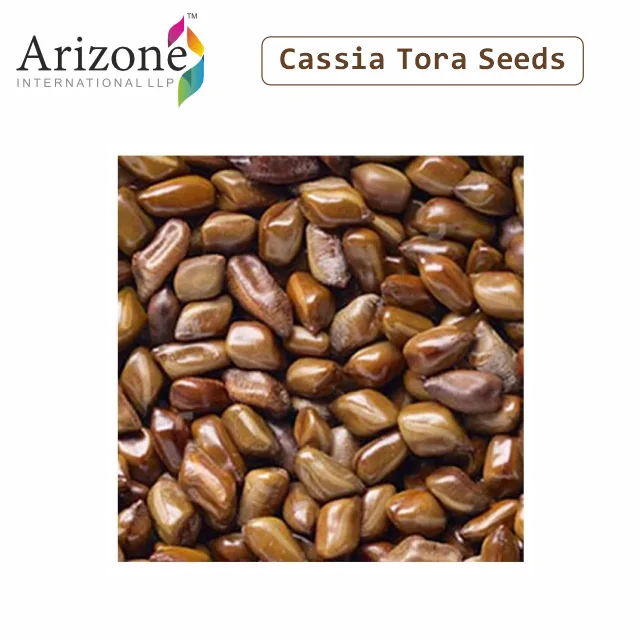 High Quality Cassia Tora Seeds Vegan and Ashwagandha Fenugreek and Black Pepper Granule Shape Dried Through AD Process