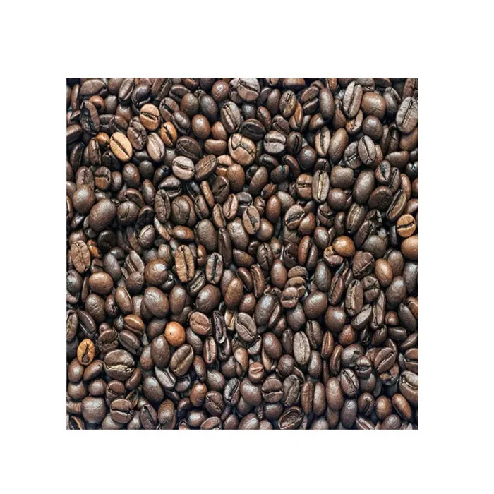 Fresh Produce Arabica Coffee Beans,Supplier Robusta Coffee Beans,Green