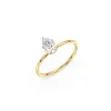 Rose d'or
