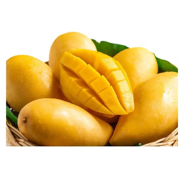 Fresh Mango Fruit Ready To Export Mangoes Buy Bulk Fresh Fruit
