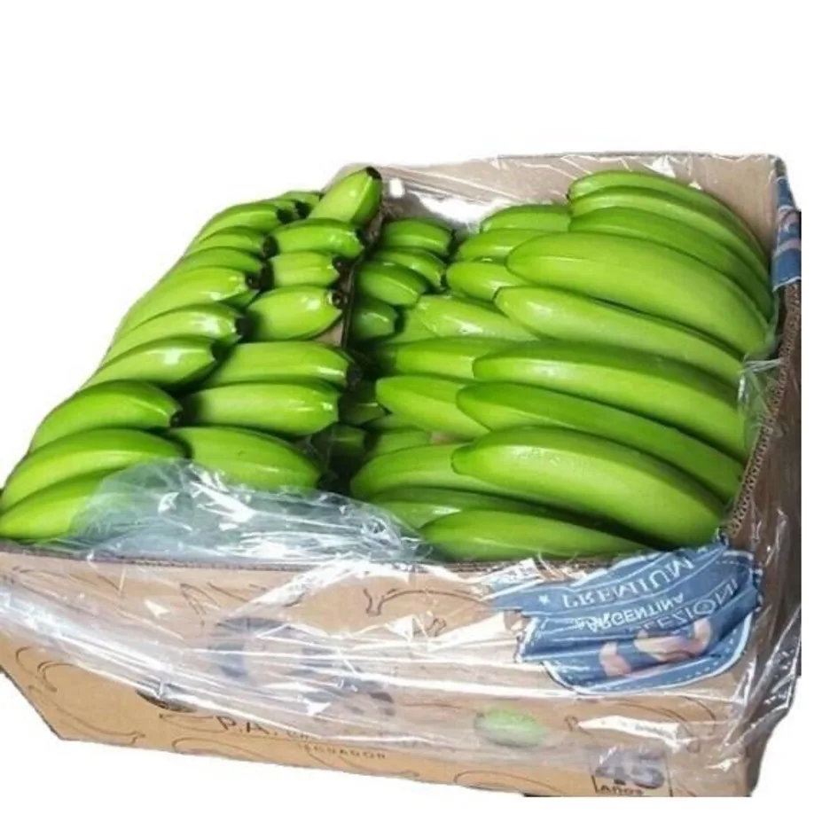 Зеленые бананы в коробке. Зеленые сладкие бананы. Бананы свежие зеленые. Бананы цена за 1 кг.