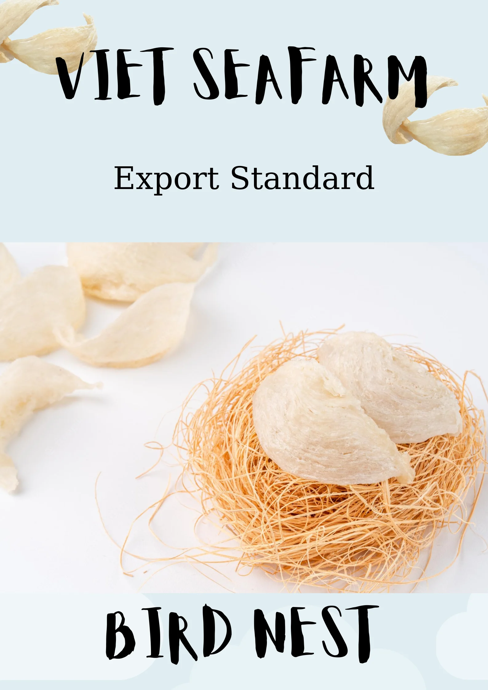 Hot Hot Best For You!!! Vietnam Bird's Nest With High Quality Export