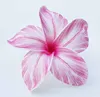 B13 : Mulbery Pink