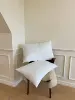 yaourt blanc