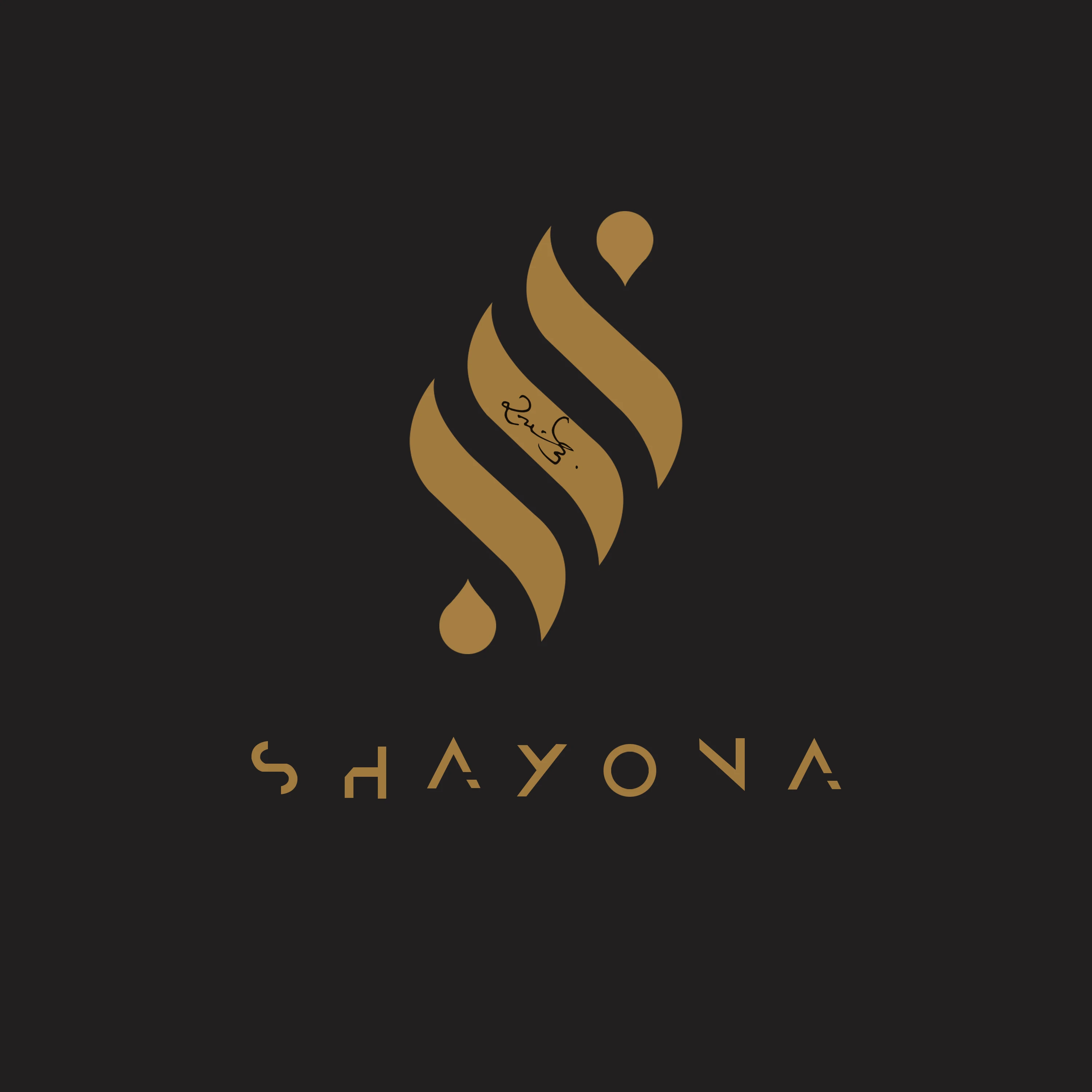 Company Overview - SHAYONA EXPORT