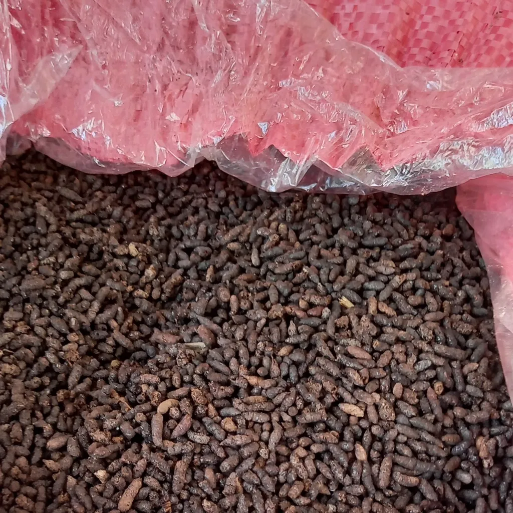Factory Price Wholesale Bat Poop High Quality Agricultural Animal Bat ...
