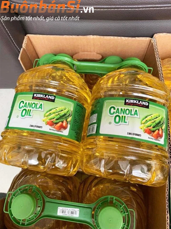 Rapeseed Oil Certified Organic 100% Pure Rapeseed Oil/Canola Oil/Rapeseed Degummed Crude Canola Oil for Cooking Wholesale