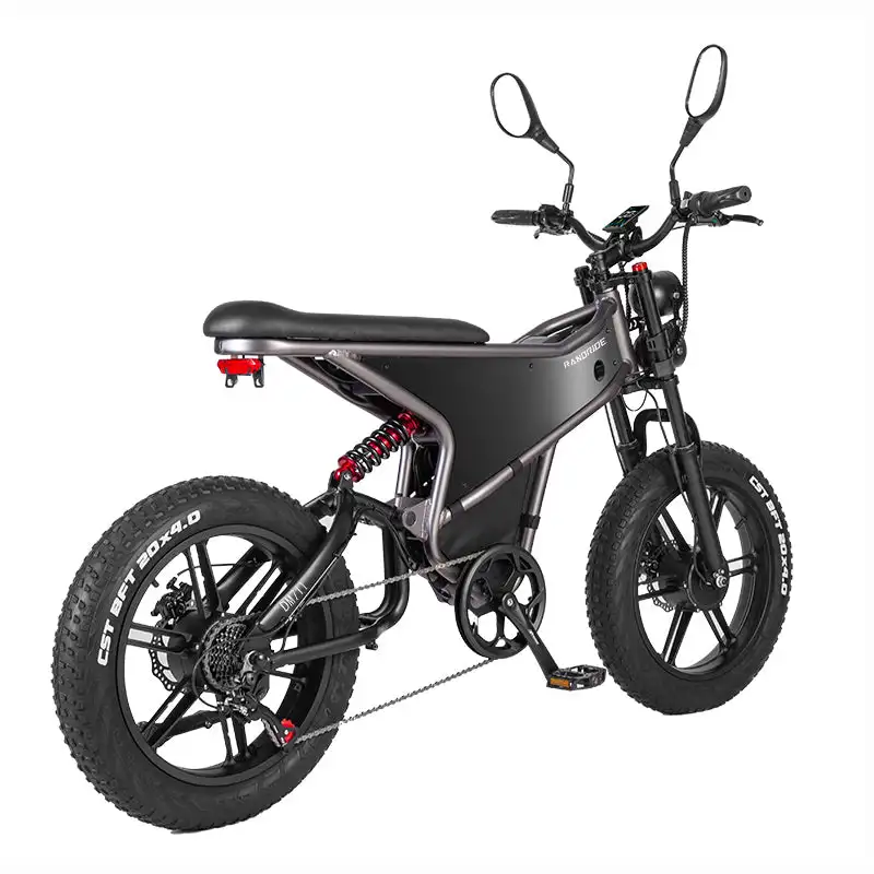 RANDRIDE DM711 20\" Electric Mountain Bike with 2000W 20Ah Dual Motors 60km Range 48v Lithium Battery 20\" Rear View Mirrors