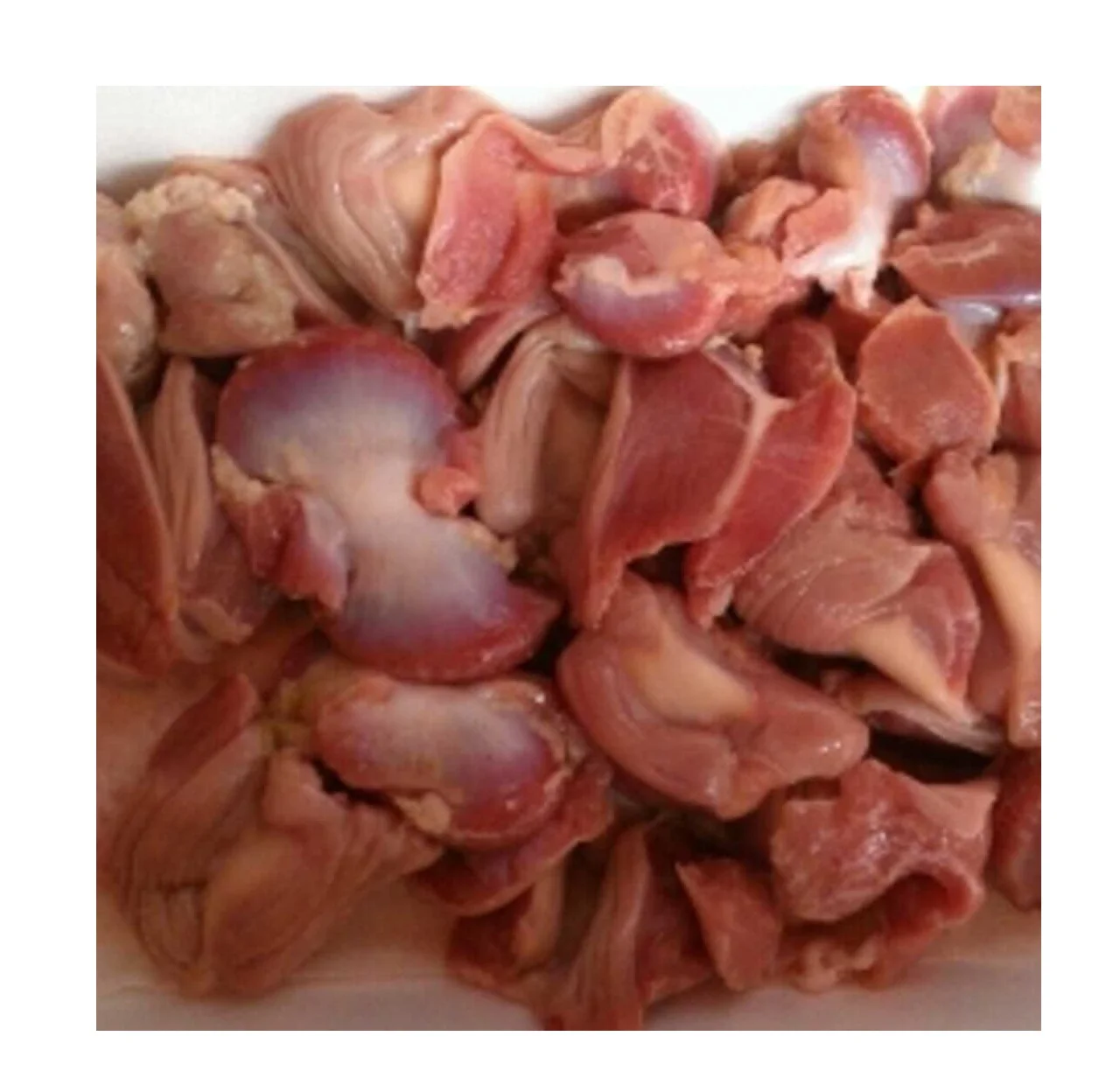 Лучшая бразильская утка Gizzard из Бельгии, халяльная замороженная утка gizzard