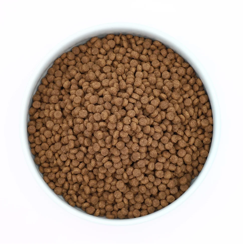 Cat Food Factory Dry Cat Food Healthy Nutrition Dog And Cat Food Wholesale Buy Factory Oem
