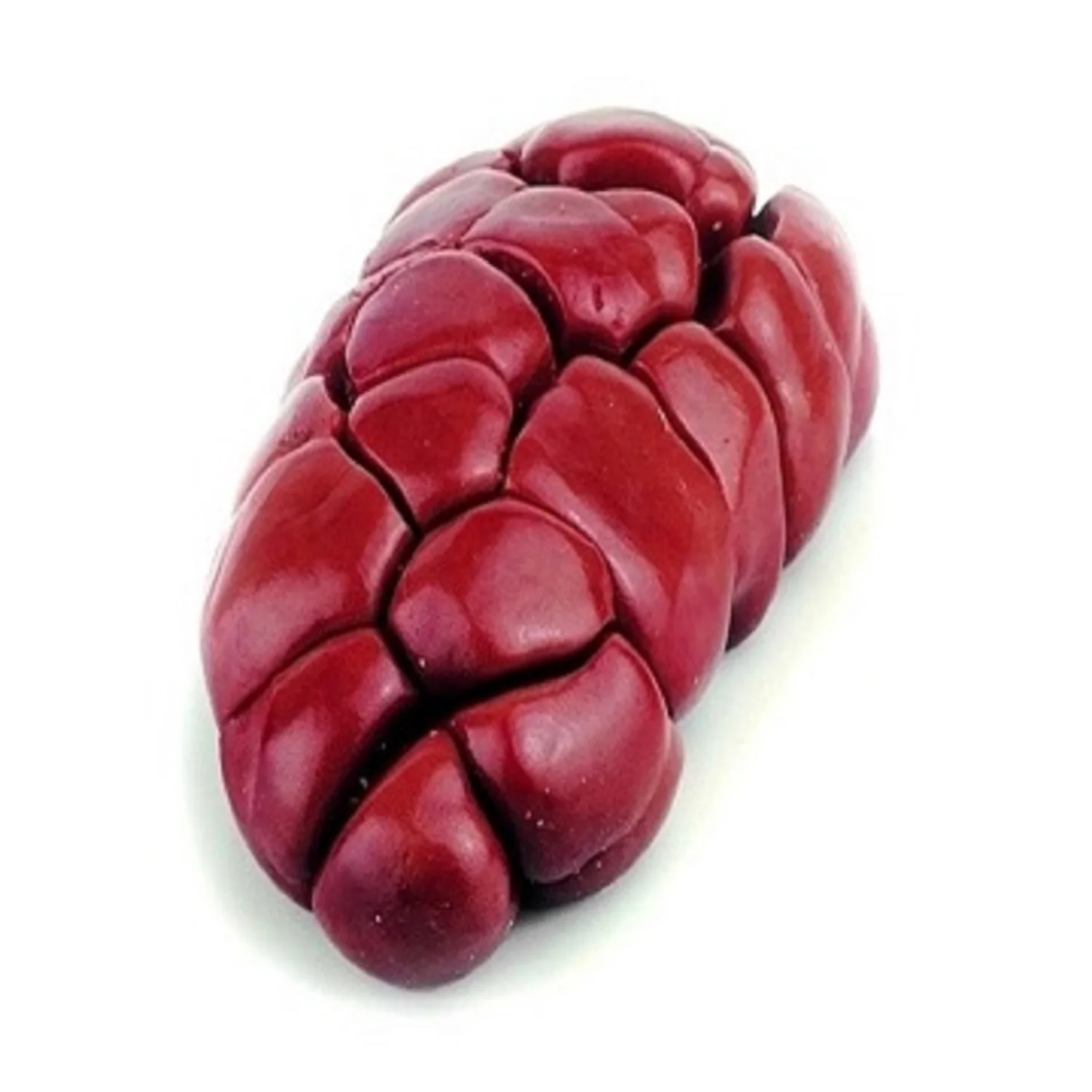 Frozen Clean Beef Carcasses, Beef-Cuts, Beef Liver, Tail,Kidney