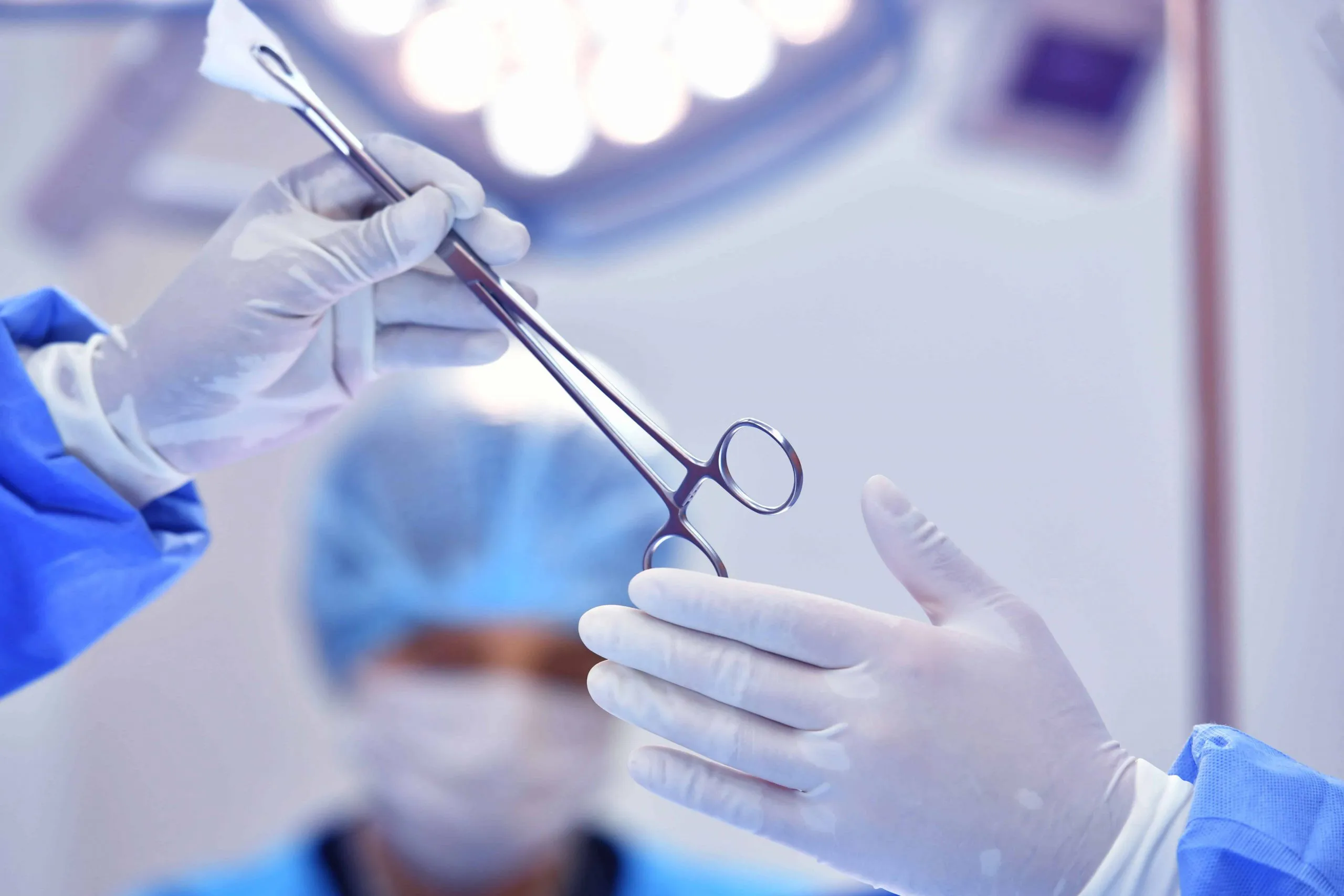 New Mosquito Hemostat 5.5" Surgical Curved Forceps Mosquito Forceps