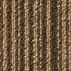 NT302V _ C01