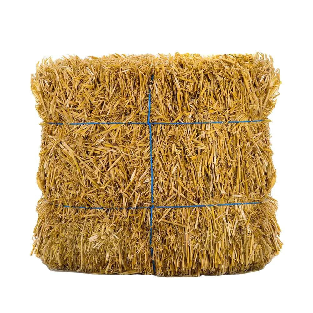Natural Cattle Alfalfa Hay Animal Feed For Sale Buy Alfalfa Hay,Bulk