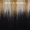 Caramel Blonde