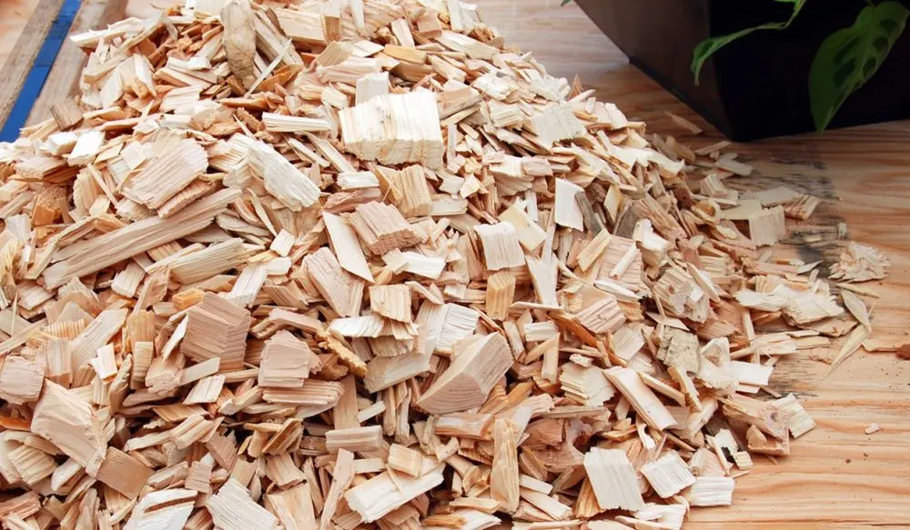 100 Acacia,Eucalyptus,Pine,Rubber Wood Chips Bulk And Cheap Price Pine