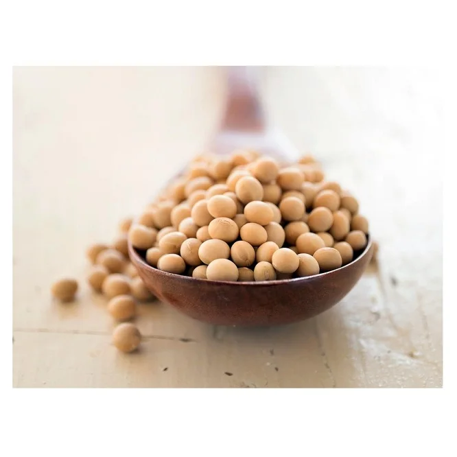 High Protein Yellow Soybean Soya Beans / Soy Bean For Sale Buy Wholesale Export American Cheap