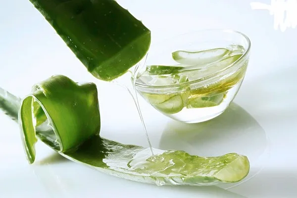 Aloe Vera in Syrup 3kg - Drink Size 5x5x5 8x8x8 10x10x10mm Supplier Bulk Quantity From Vietnam