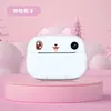 Pink Rabbit