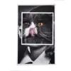 Cat face 4