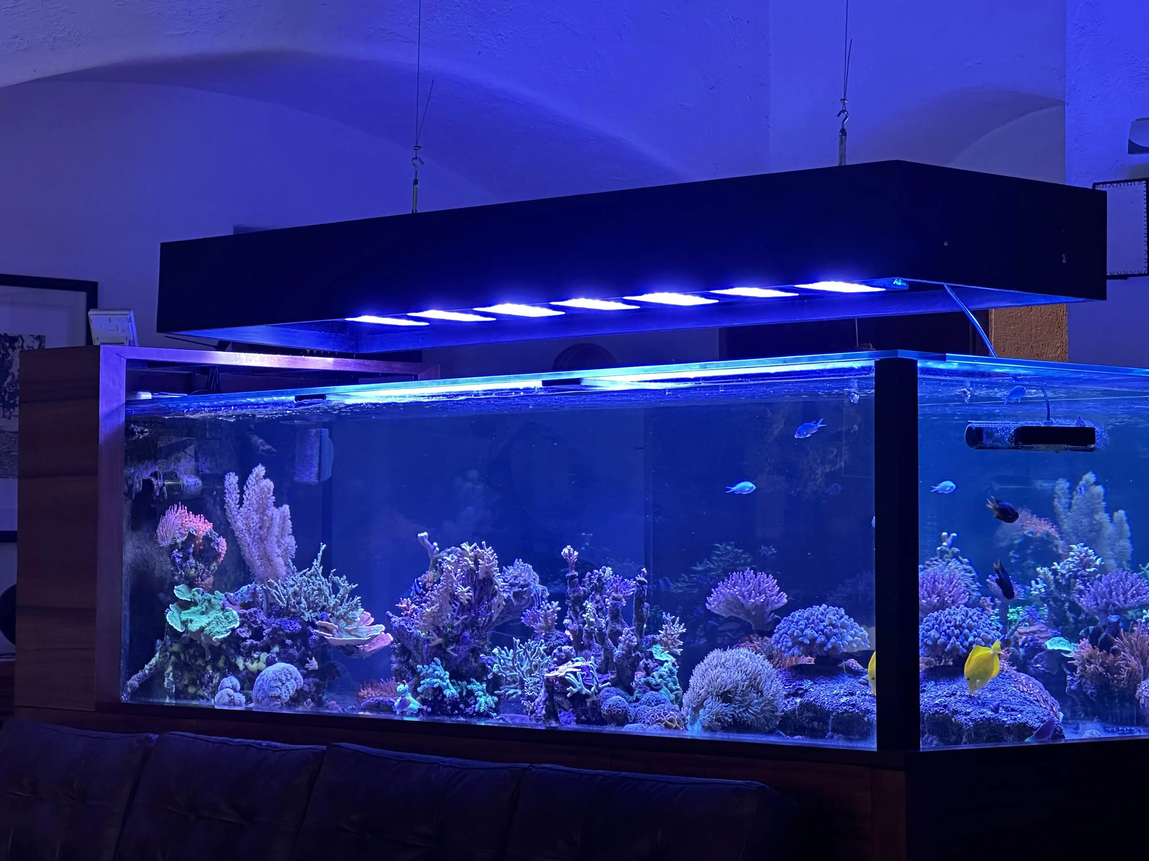 アクアリウムライト A8SE セーターチ-LED水族館ライト,海水サンゴ礁 