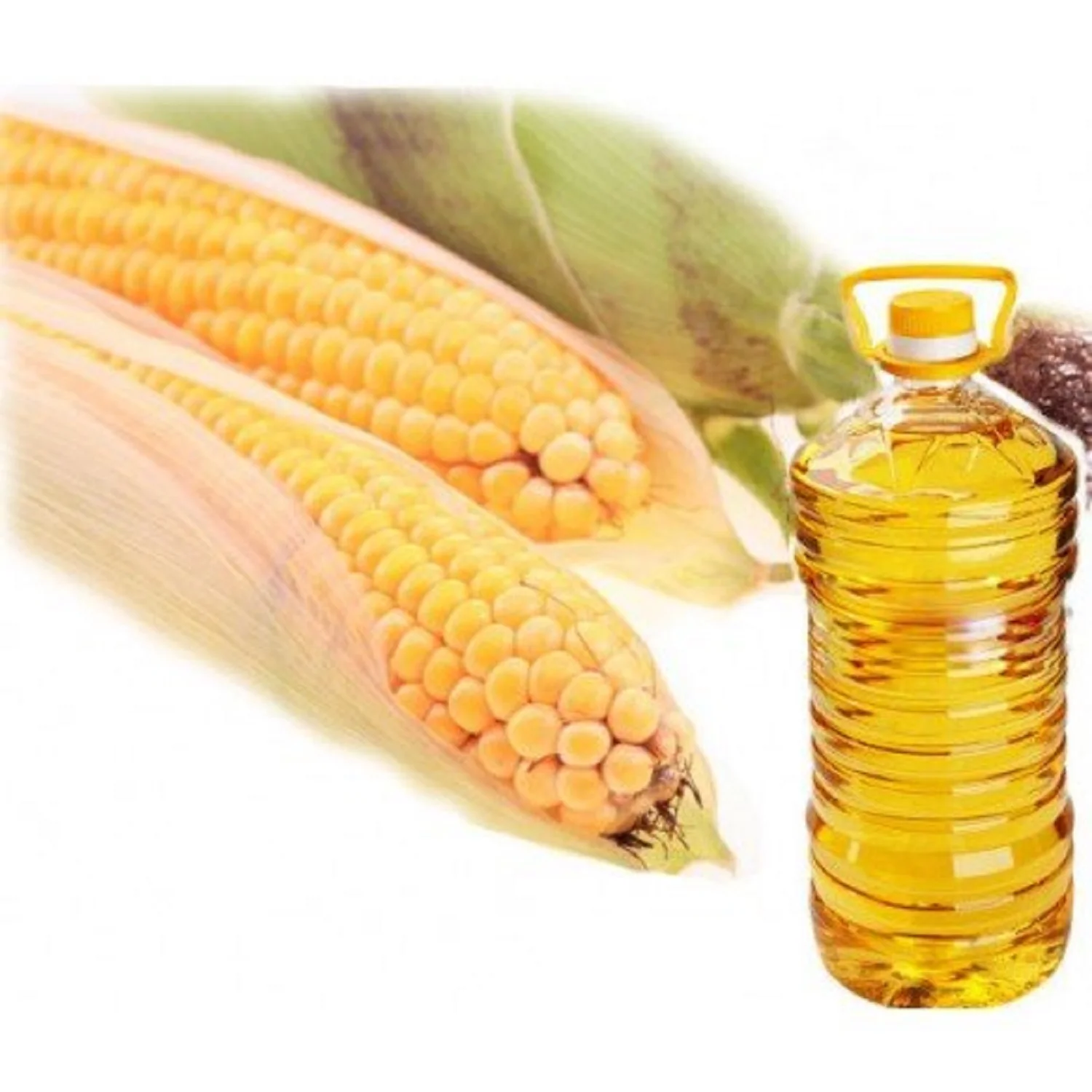 Кукурузное масло или подсолнечное. Кукурузное масло. Растительное масло кукурузное. Кукуруза с маслом. Масло кукурузное рафинированное.