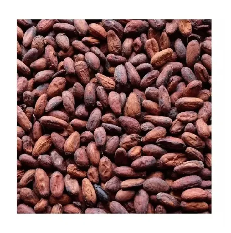 03000 (9).png