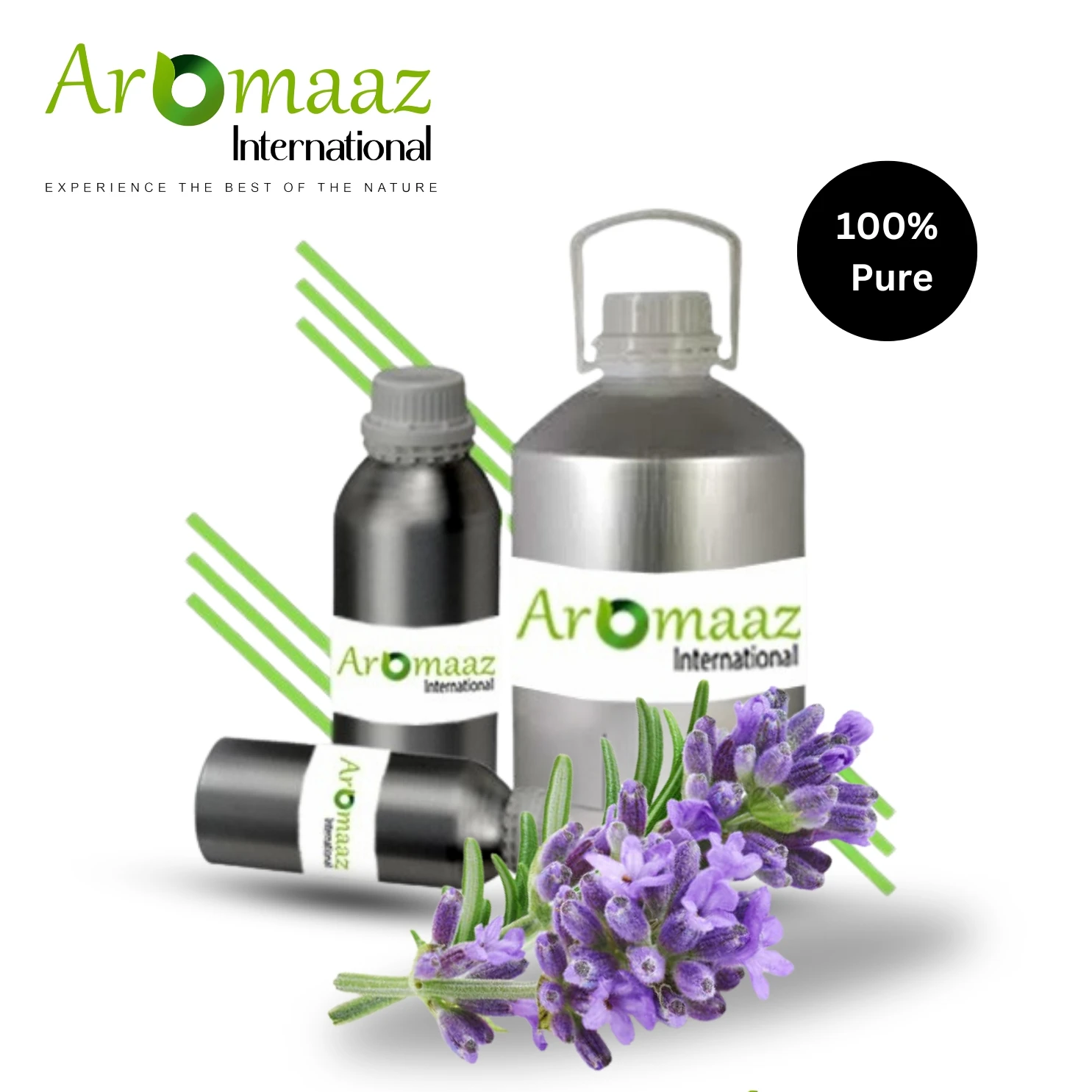 Global Exporter of Rosemary & Tea Tree Essential Oil with 100% Purity High Quality Hair Care GMP Certified Suppliers