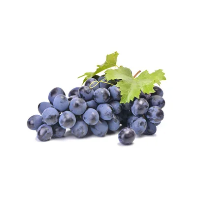 Grapes5.jpg
