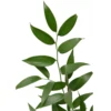 Verde militar