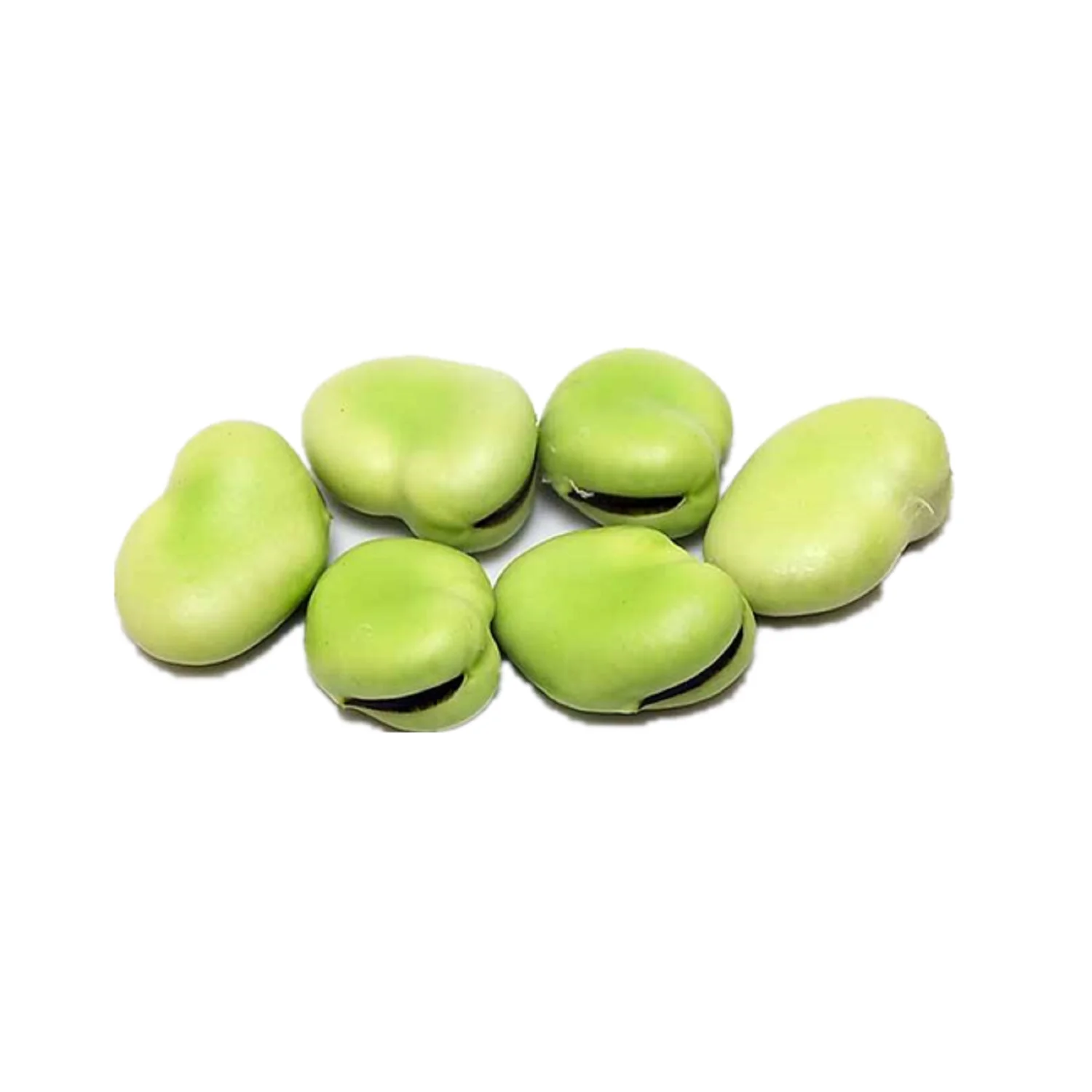 2023 Crop Broad Beans Green Color Fava Beans 70-80 USA Origin