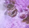 As Per Image