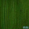 Vert citron