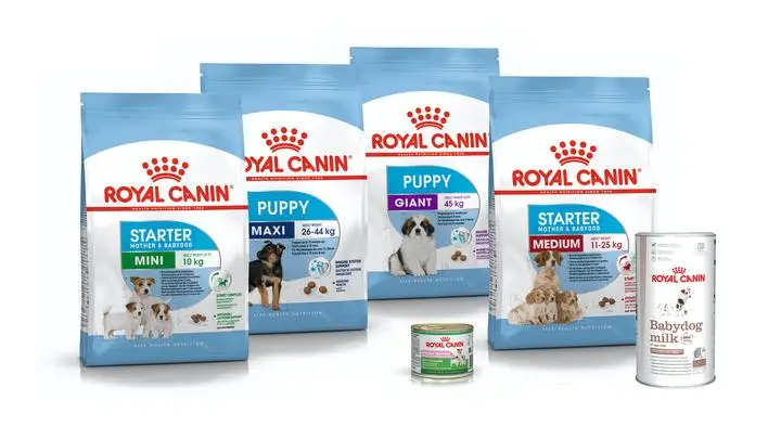 Royal Canin 15kg Bags 100 Natural For Cats Dog Food Cat Food Best