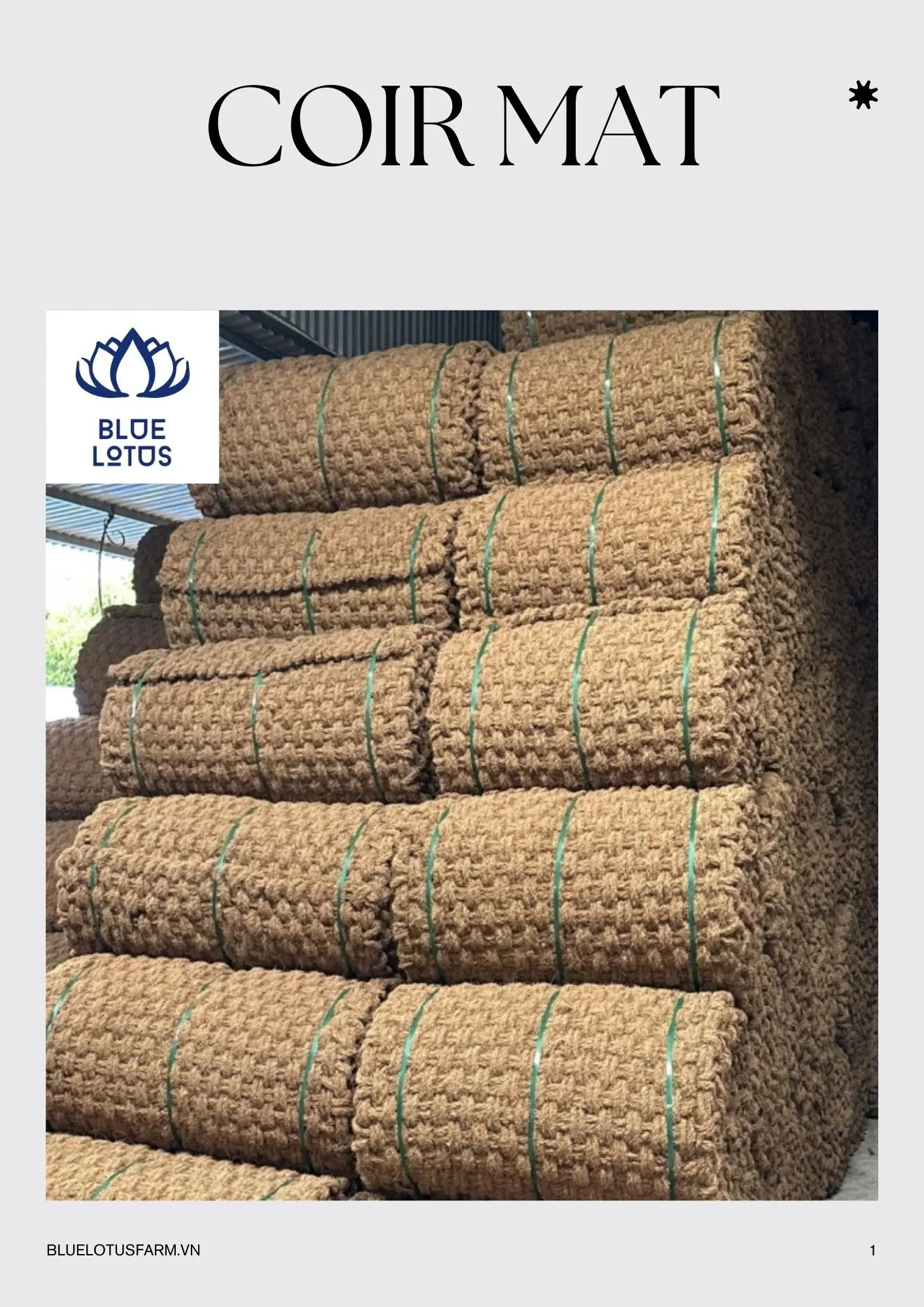 Coir Mat From Blue Lotus Farm 2023 Wholesale Coconut Mat Buy Coir Mat
