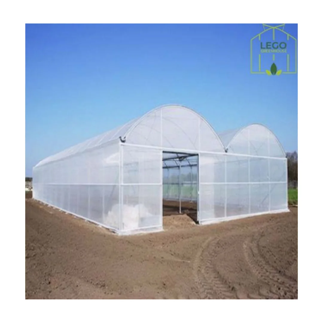 Tunnel Greenhouse Low Cost Steel Construction Galvanized Materials ...