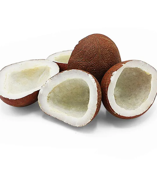 dry-coconut-998251-540x600.jpg