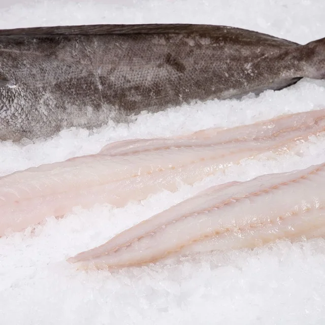Fresh Frozen Hake Whole Fish / Frozen Whole Round Hake Fish For Sale