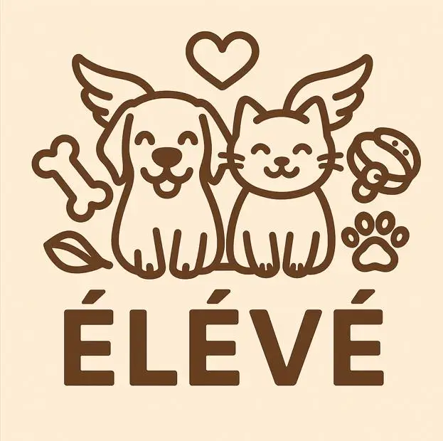 ELEVE Inc.