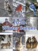 ฉากฤดูหนาวปี 2020