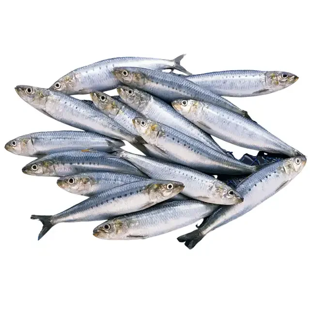 Fresh Frozen Sardine 5080g Small Sardine Wholesaler Sardine Whole